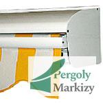 markiza-lewens-economy-1
